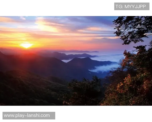 实时新闻王丽的攀岩人生在高峰与深渊之间的深度对话与心灵探索